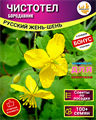 Чистотел семена 100+шт Русский Жень-Шень + Бонус + Рекомендации по посадке БЕСПЛАТНО! 10419