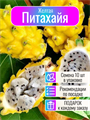 ПИтахайя Желтая семена 10 шт + Бонус + Рекомендации по проращиванию 10443